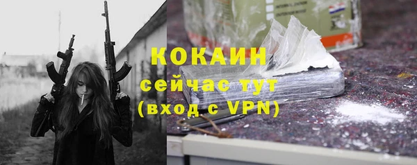 бошки Каменка