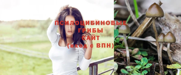 бошки Каменногорск