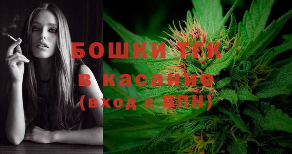 бошки Каменногорск