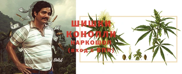 бошки Каменногорск