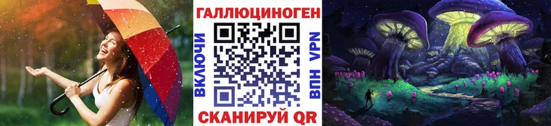 Купить  Бологое  Псилоцибиновые грибы Magic Shrooms 