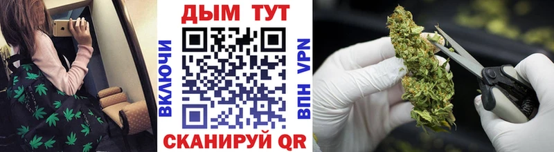 Купить закладки  Бологое  Бошки Шишки OG Kush 